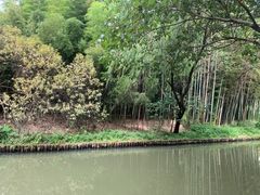 -同里国家湿地公园