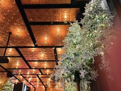 -THE CANNERY&JUJU 新鲜海鲜·牛排美食酒廊