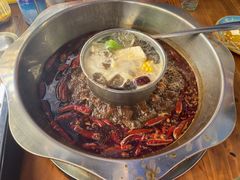 -金鼎雪山牦牛杂火锅(理县总店)