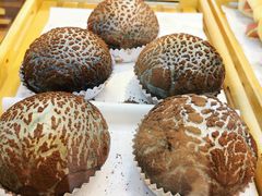 -向阳松鼠(江口店)