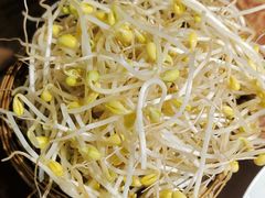 豆芽-陈陈火锅(较场口店)