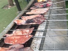 -尚庄度假村·庭台树下·户外烧烤·团建CS·轰趴营地(上庄水库店)