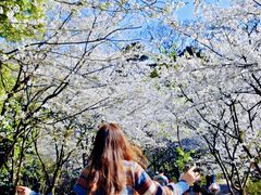 -南山植物园