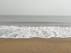 -川椒媚双椒烤鱼(鑫江东方城购物中心店)
