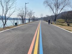 -羊山湖公园
