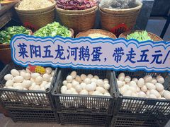 -单家老院·院子里的青岛菜(沙子口店)
