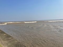 -观潮胜地公园