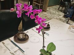 -祥记·国宴豫菜·经典粤菜(郑东新区新长安店)
