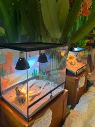 -酷嗒动物文化乐园(cutezoo西溪乐天城店)