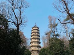 -灵谷景区
