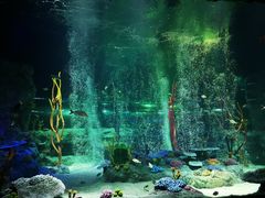 -沈阳海洋探索中心