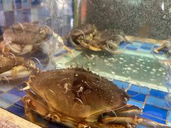 -顺峰(南二环店)