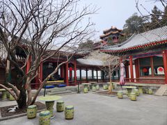 -宫事颐庭·老佛爷贵寿下午茶(颐和园店)