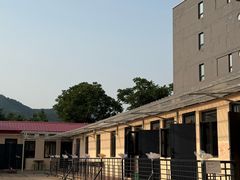 -大鹅岛灶台鱼·铁锅炖(水库路店)
