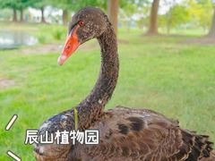 -上海辰山植物园