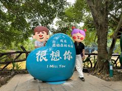 -西双版纳原始森林公园