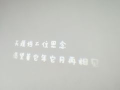 -成都失恋馆