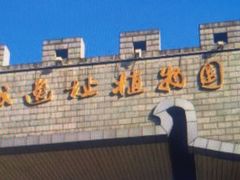 -洛阳市隋唐城遗址植物园