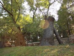 -北京植物园-展览温室