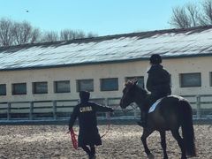 -北京群众马术培训基地