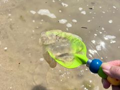 -碧海银沙景区