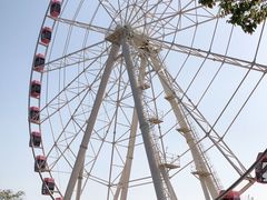 -顾村公园