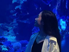 -欢乐海岸海洋奇梦馆