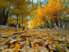 -长白岛森林公园