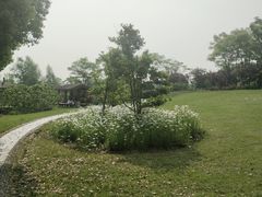 -尚贤河湿地