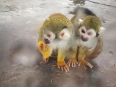 -西安秦岭野生动物园