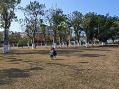 -万绿园