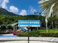 -杨梅坑