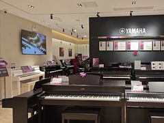 -雅歌音乐培训中心·钢琴培训·乐器培训(交道口店)