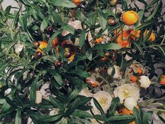 -KKV(深圳宏发大仟里店)