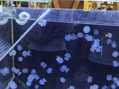 -巴黎春天(浦建店)