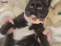 -科道动物医院·急重症中心(万达院)