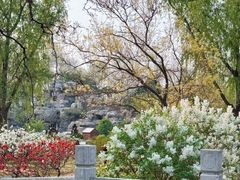 -莲花池公园