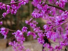 -天台山赤城山景区