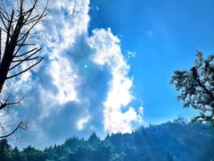 -鹿院坪生态旅游景区