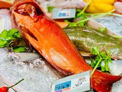 -吴记富苑(朝阳店)