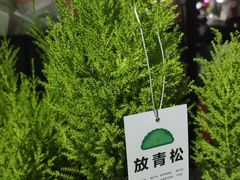 -南宁市连升风味小吃店