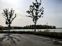 -小陆莲花蟹园农家乐(莲花岛店)