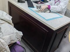 -宠爱国际动物医院·消化内科·心肾内科·ISFM猫友好(望京店)