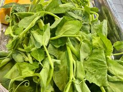 -金鼎雪山牦牛杂火锅(理县总店)