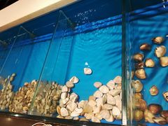 -火舞泰·泰式海鲜火锅餐厅(世纪城店)