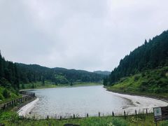 -武陵山森林公园