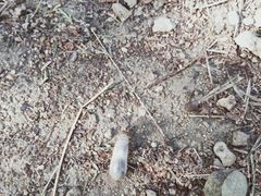 -终南山国家森林公园