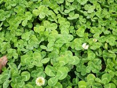 -长安大学(北校区)