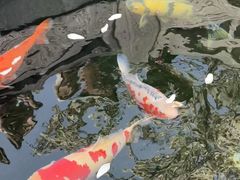 -西安市广仁寺