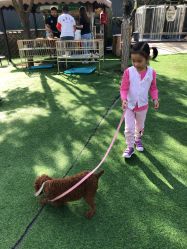 -萌宠亲子动物乐园(槐房万达店)